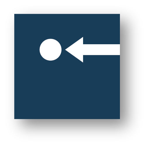 icon-audit